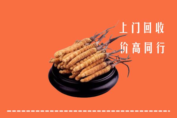 高价求购：金口河区回收散虫草
