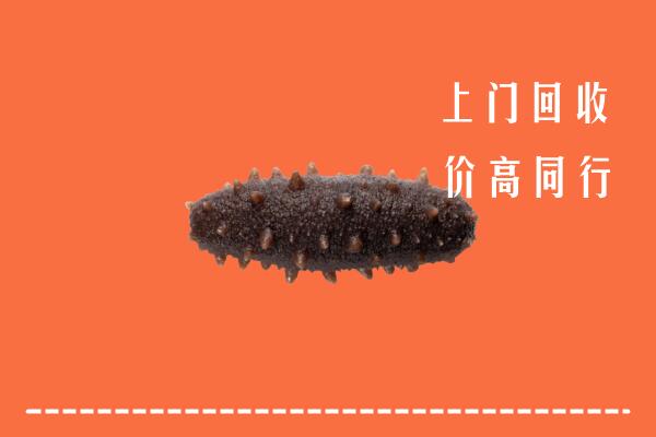 高价求购：金口河区回收海参