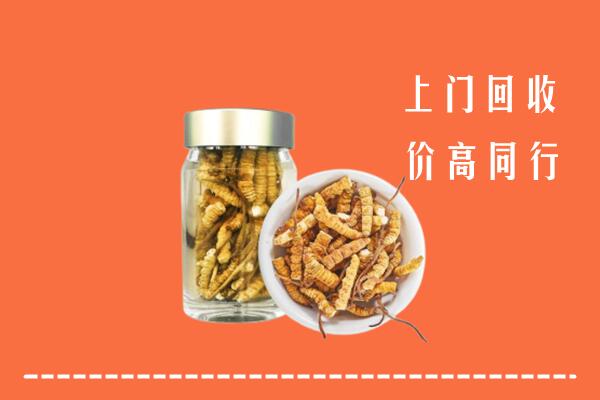 金口河区回收冬虫夏草