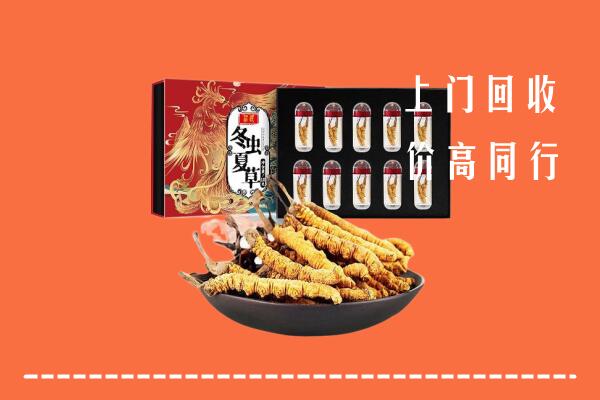 金口河区回收虫草